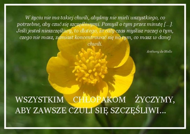 Kartka z żółtym kwiatem i życzeniami na dzień chłopaka